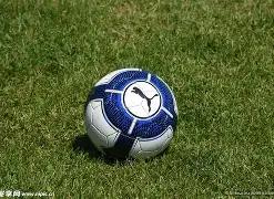 赛恩斯,日机构调研,活动,球速体育平台,球速体育官方网站,球速体育登录入口,球速体育app下载