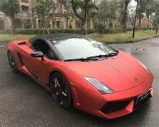 浙江女子聋,人篮球队荣,获全国残特,球速体育平台,球速体育官方网站,球速体育登录入口,球速体育app下载