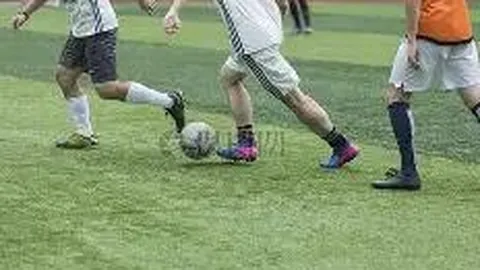 球速体育 产品 085522 wnt