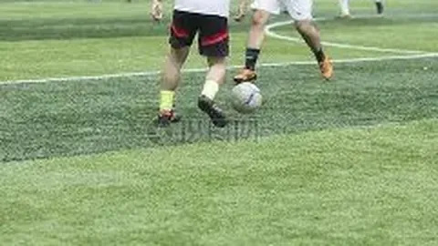 球速体育 产品 092524 jc9